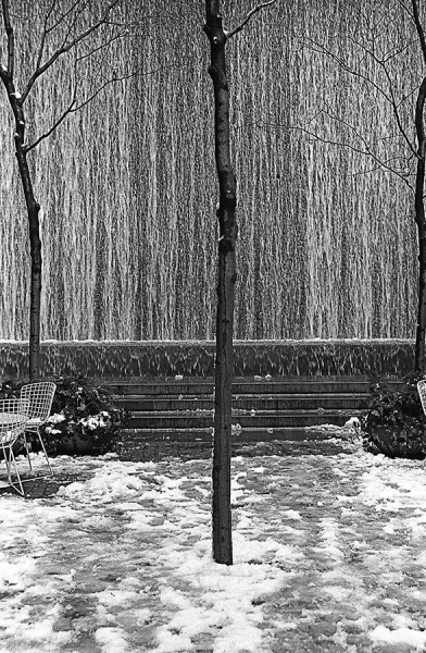 Photograph Jackie Weisberg Three In The Pocket Park on One Eyeland